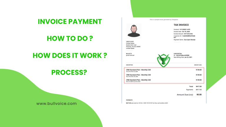 How to do Invoice Payment? How does it work ? – Bullvoice